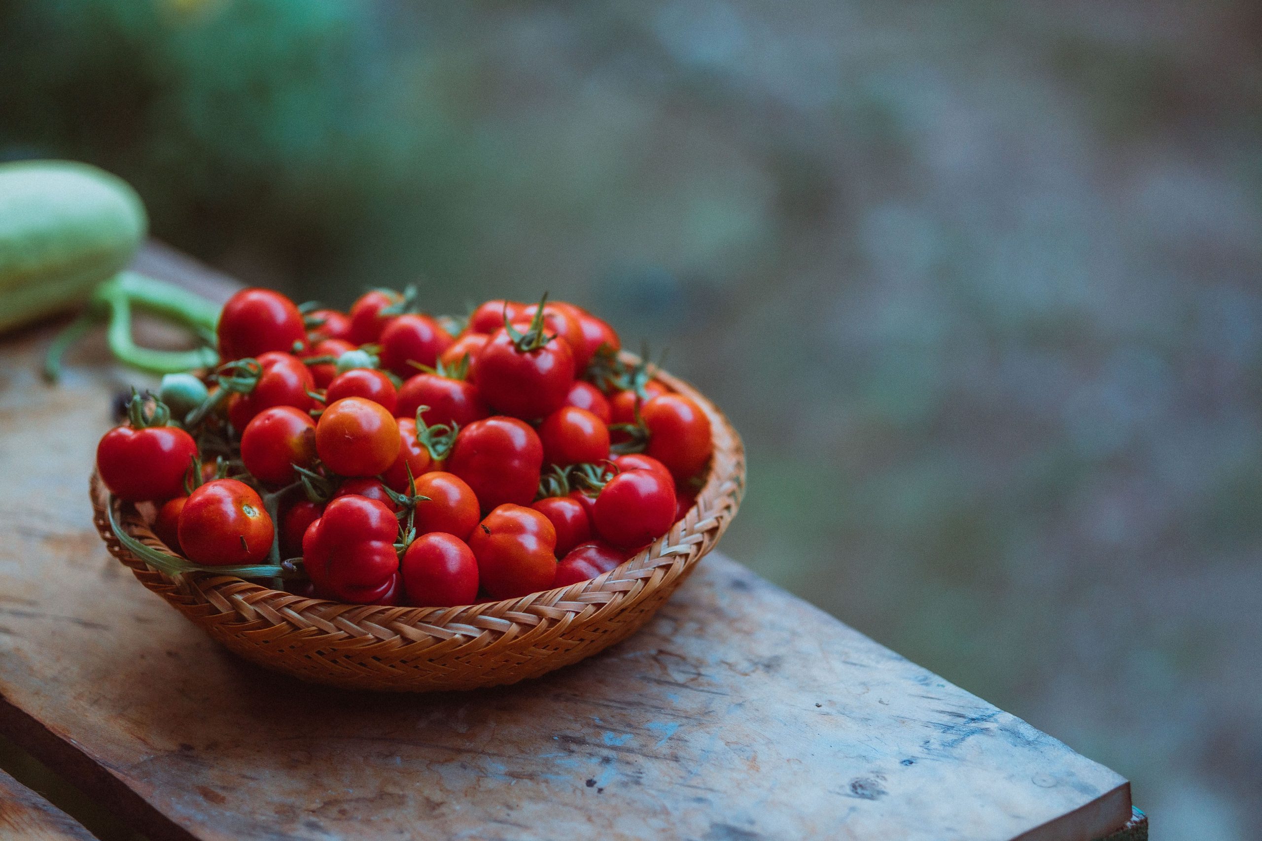 Panier de tomates cerises mûres sur table rustique