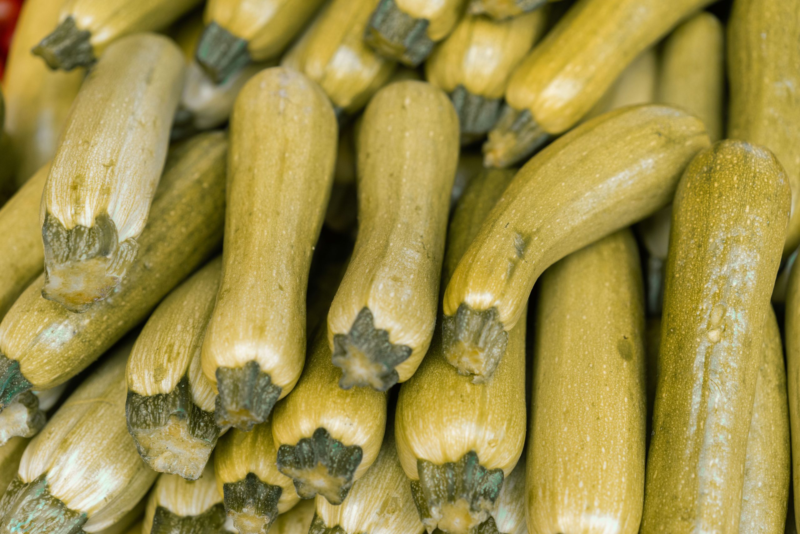 Courgettes fraîches au marché en gros plan