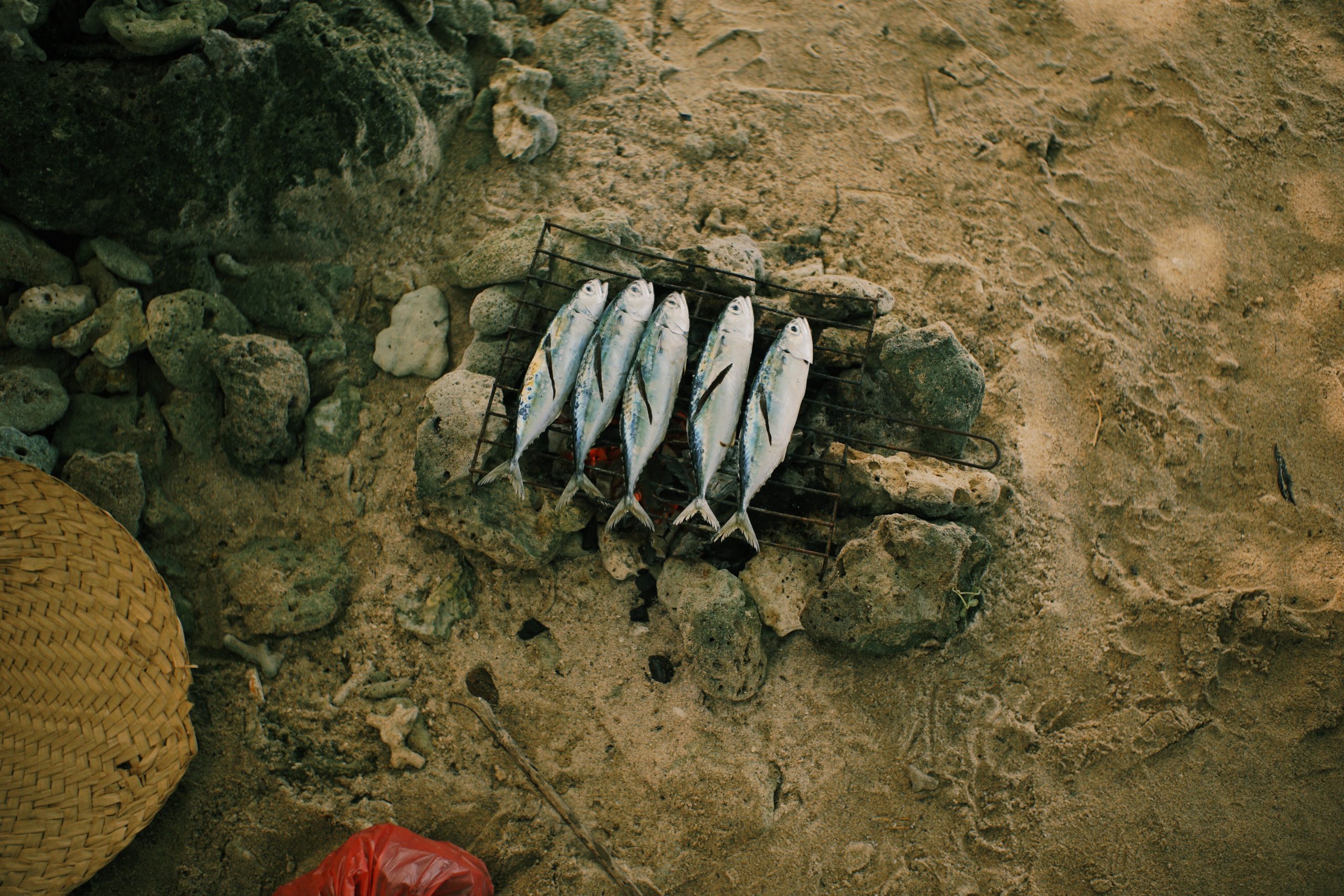Cinq sardines grillant sur un barbecue improvisé en plage
